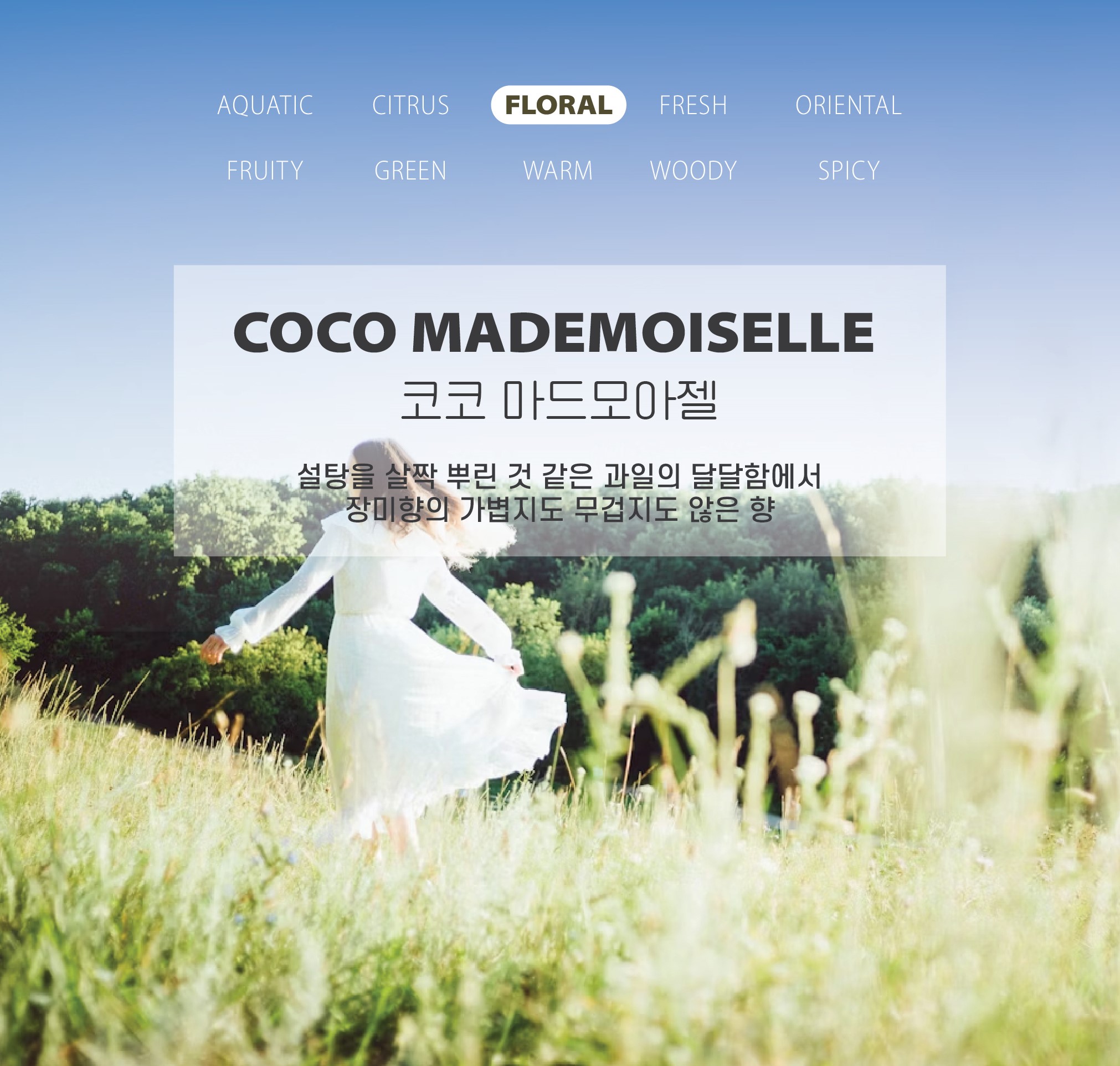 [무료 선물 포장] 천사의 날개 방향제 상세 이미지