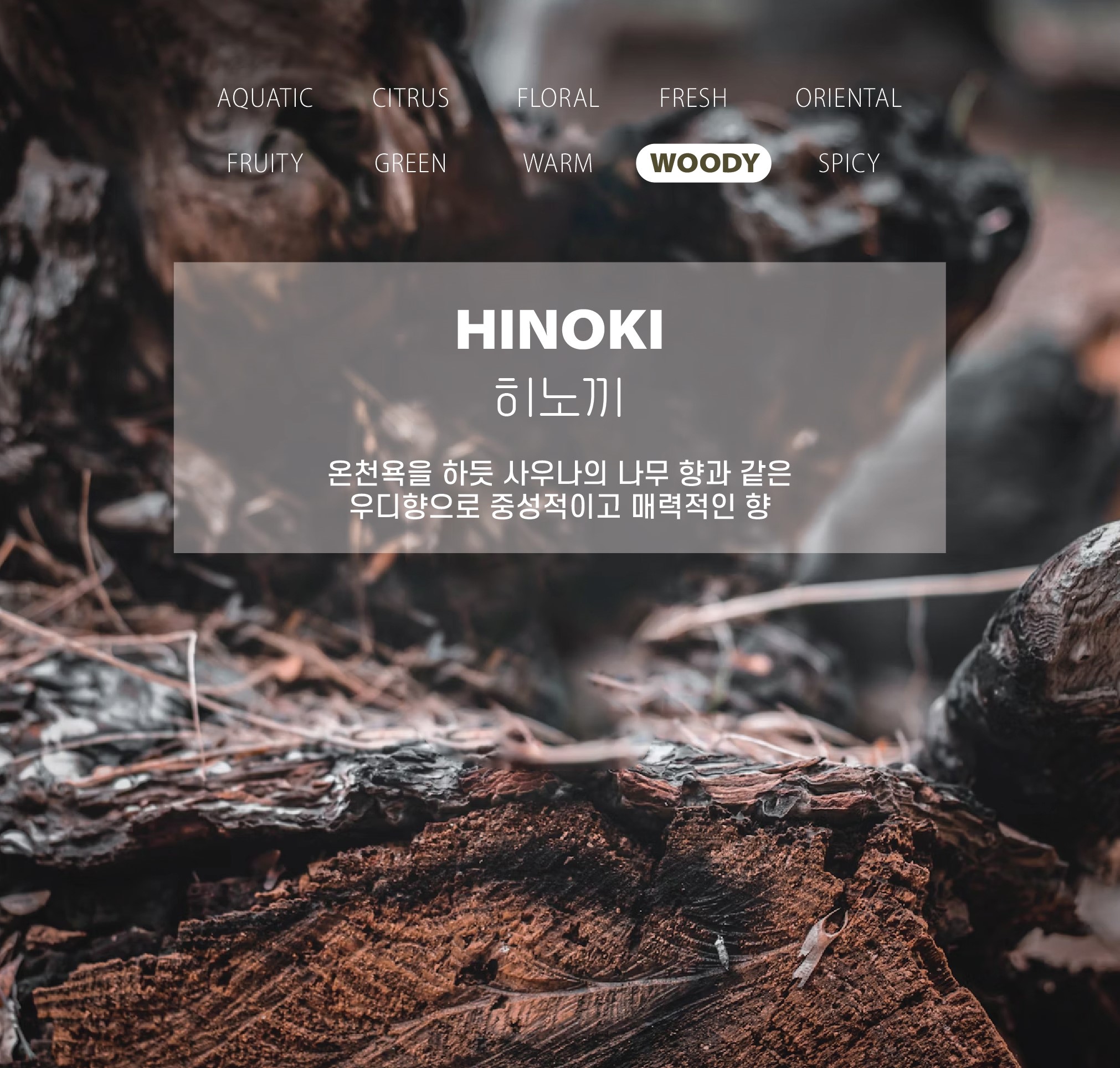 [무료 선물 포장] 천사의 날개 방향제 상세 이미지